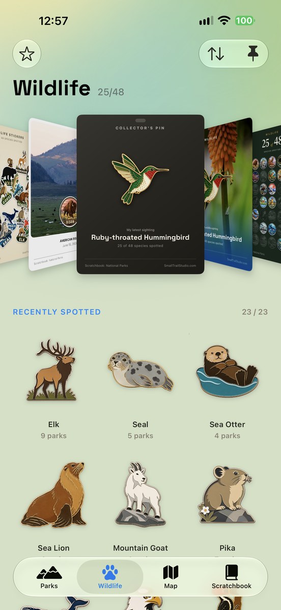 Scratchbook: wildlife collection with a hummingbird poster and animal pins